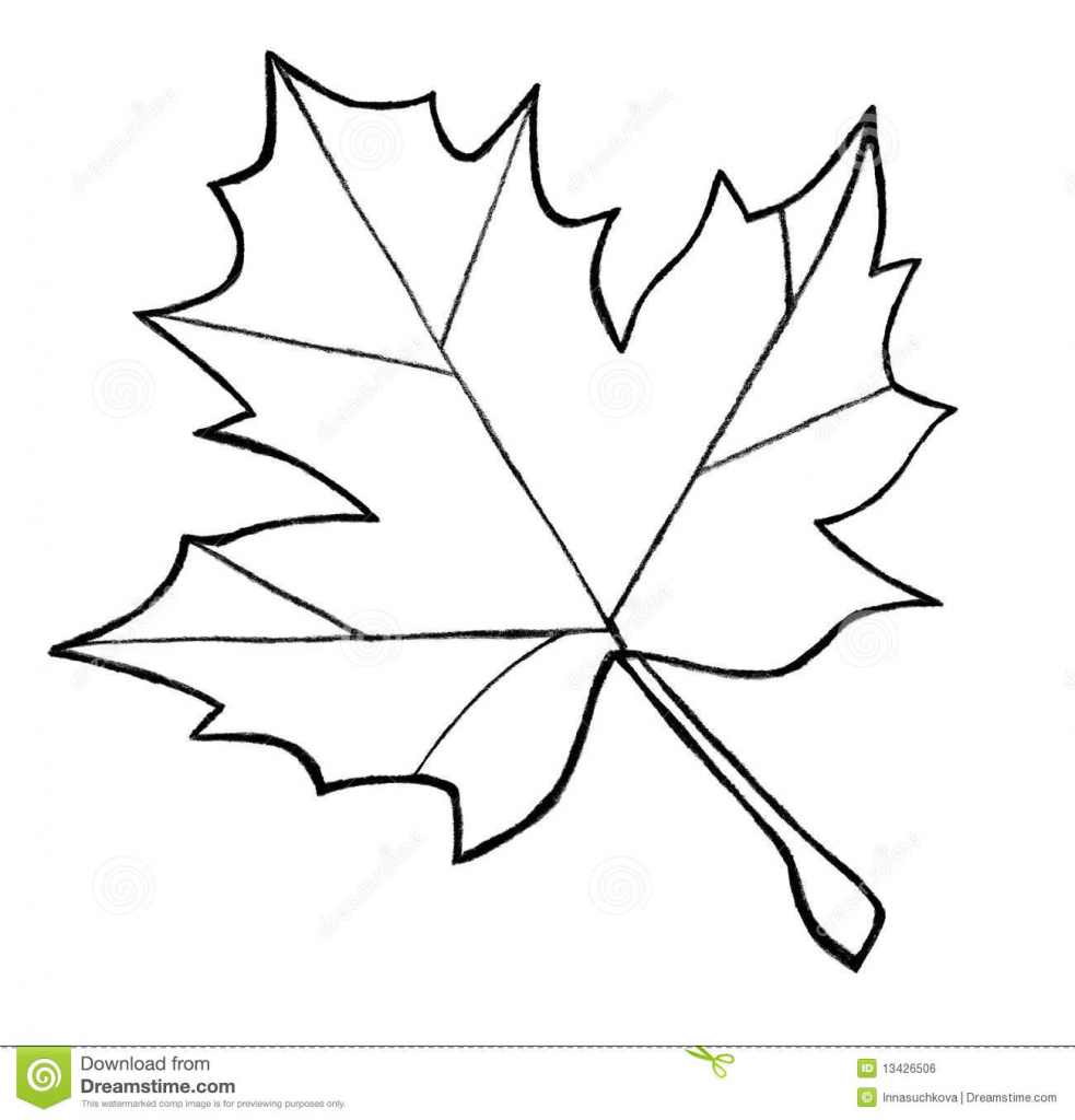 983x1024 Drawing Of A Maple Leaf
