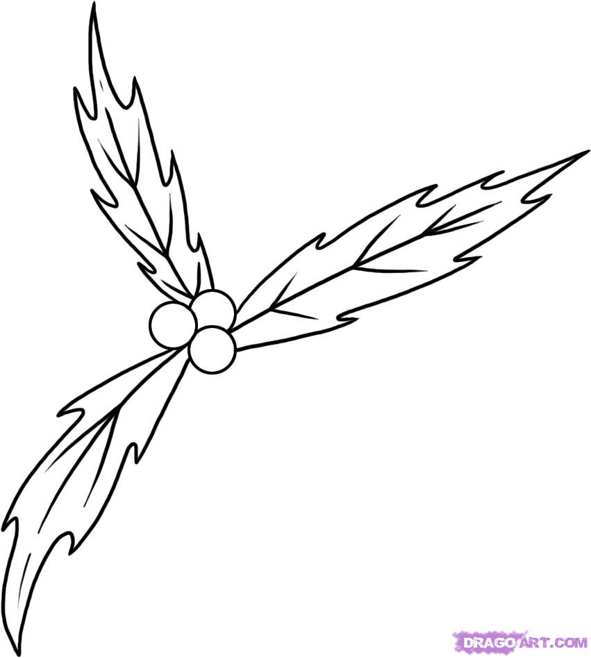 851x947 How To Draw A Mistletoe Group