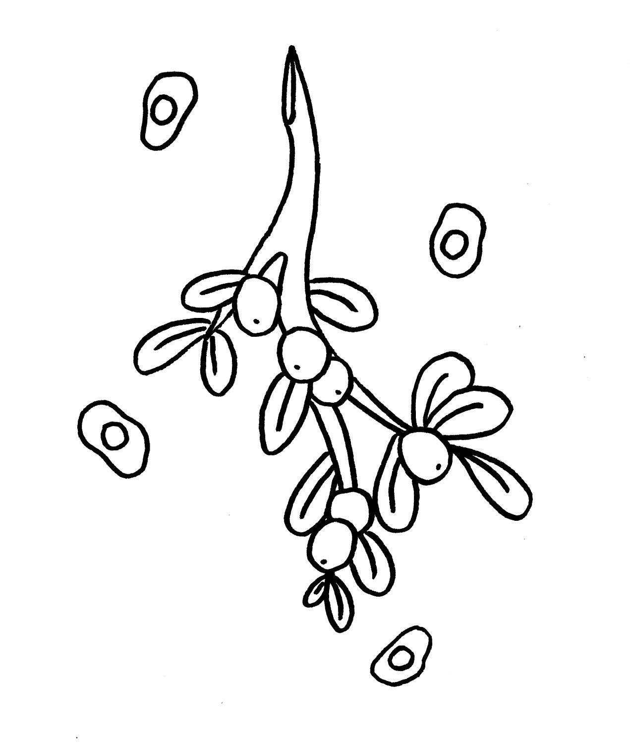 Easy Mistletoe Drawing at GetDrawings.com | Free for personal use Easy