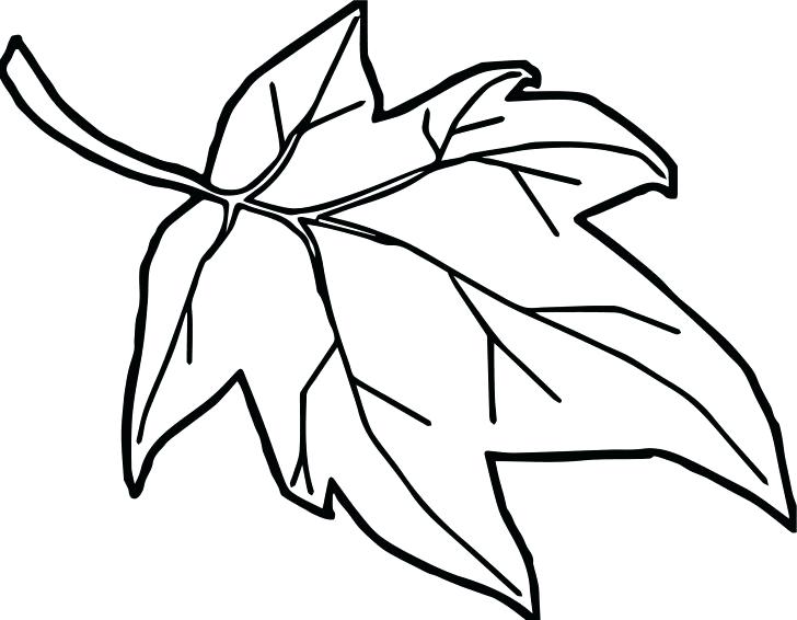 728x566 Poinsettia Leaf Template