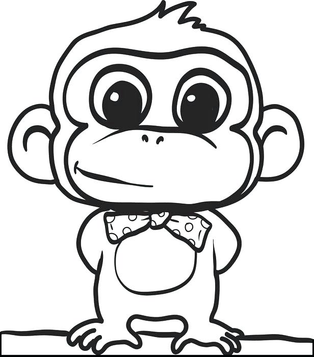 616x700 Spider Monkey Coloring Pages Pin Spider Monkey Easy Draw 6 Ben 10