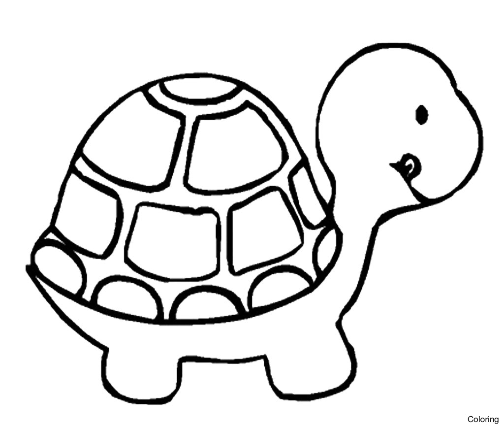 1024x867 Cartoon Turtle Drawings Turtles How To Draw A Sea For Of Images