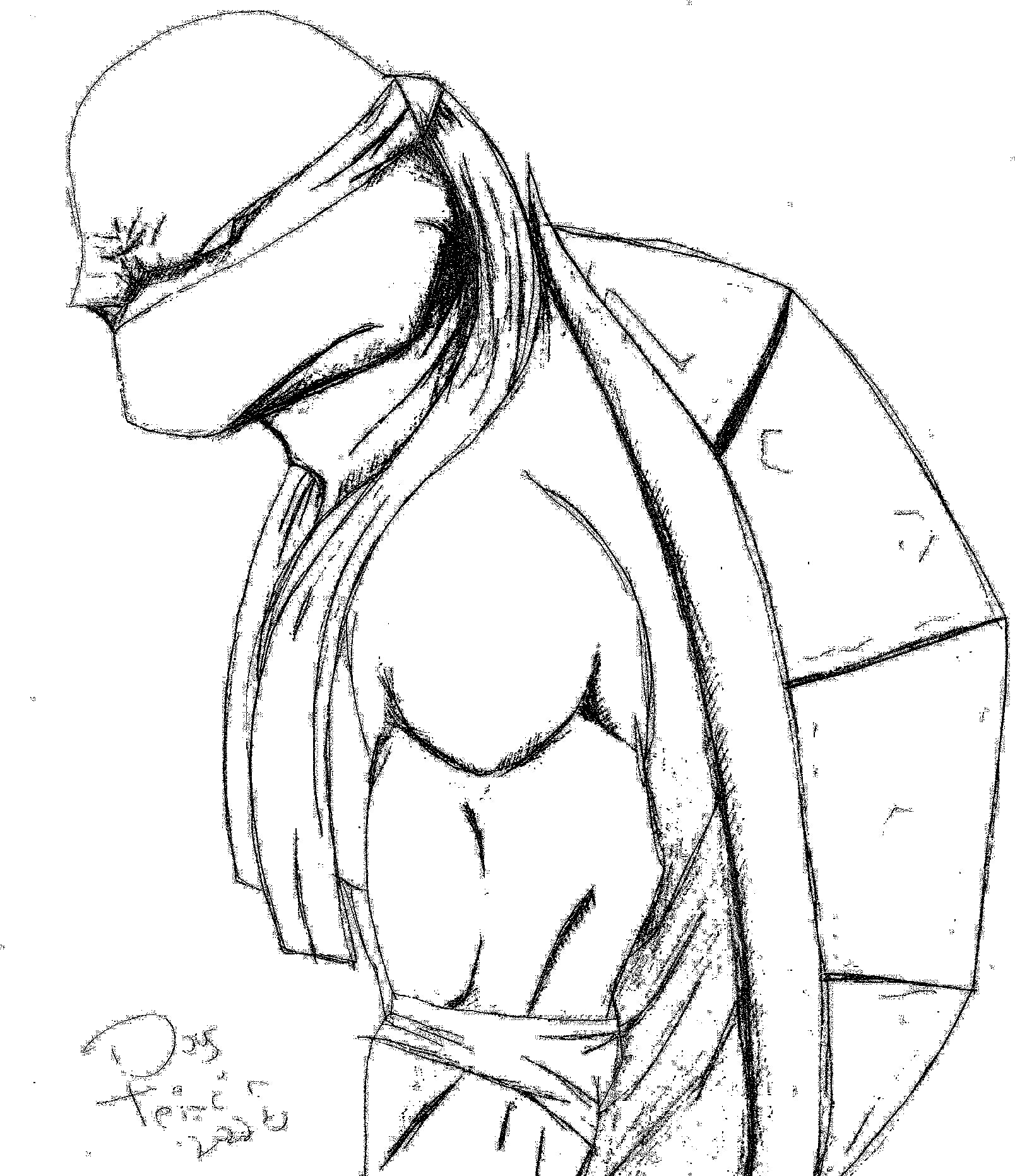 1608x1863 Turtle Drawing Easy Wallpapers Background