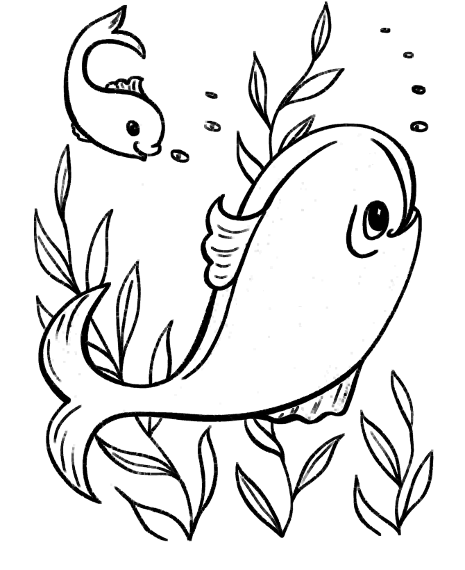 670x820 Free Easy Coloring Pages Free Printable Ocean Coloring Pages