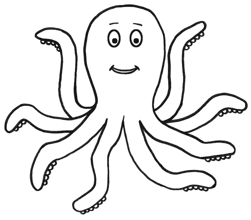 800x703 Octopus Outline Clipart