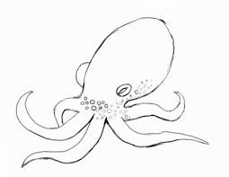 255x197 The Best Easy Octopus Drawing Ideas On Easy