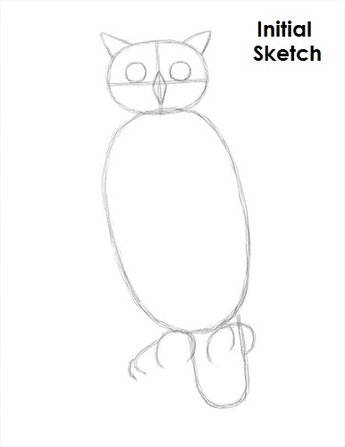 386x500 How To Draw An Owl (Great Horned)