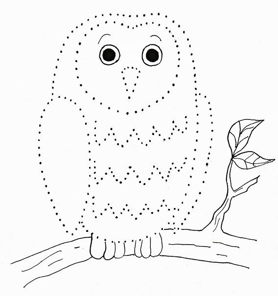 568x605 Owl Dot Drawing