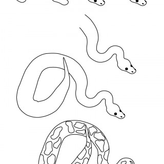 320x320 Tag For Step By Step Drawing Animals Learn To Draw A Bat