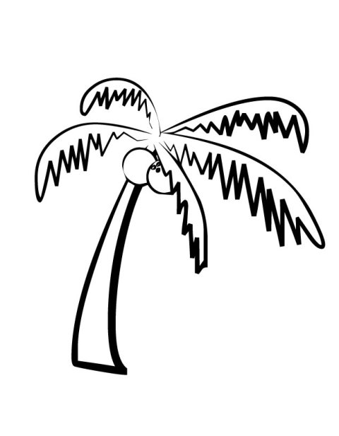 480x617 Palm Trees Drawing Easy
