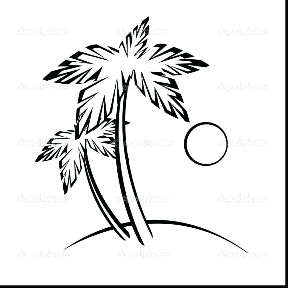 1126x1126 Coloring Palm Tree Coloring Pages