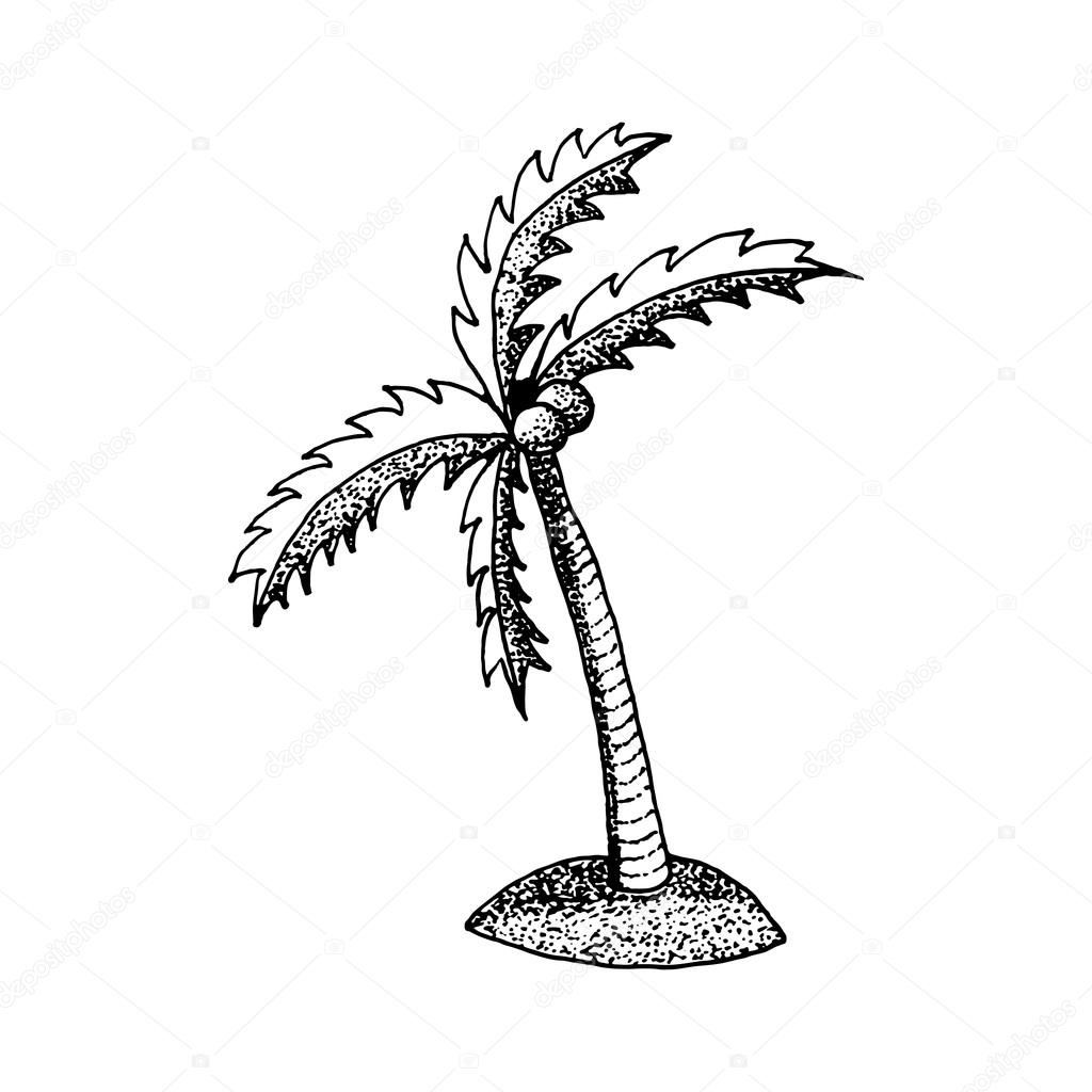 1024x1024 You Can Create This Palm Tree Drawing In Just Four Easy Steps 1