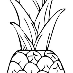 Easy Pineapple Drawing at GetDrawings | Free download