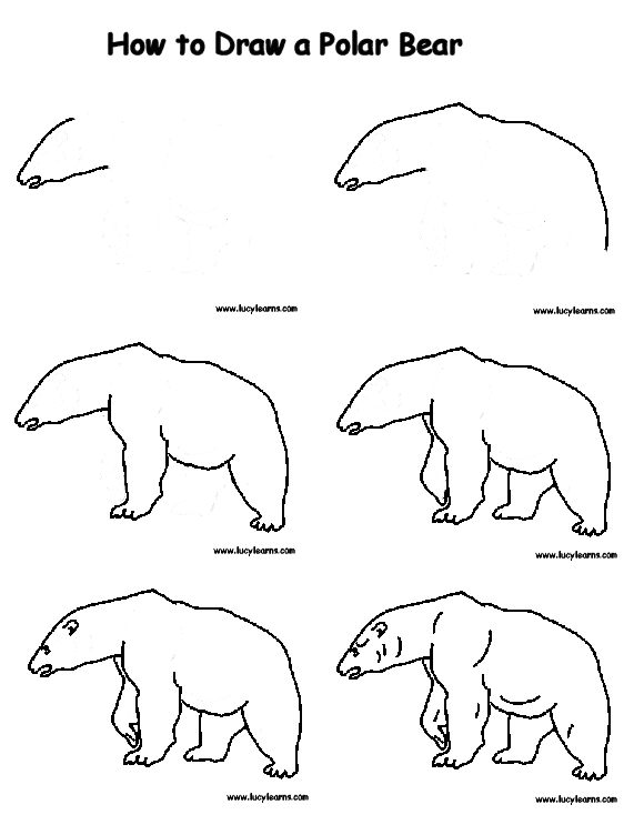 580x752 Peas In A Pod Free Polar Bear Unit Study Art Drawing