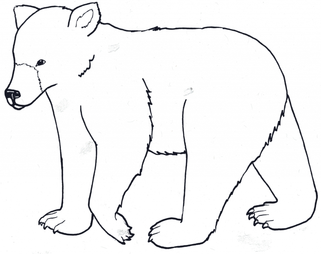 1024x812 Easy Bear Drawing Black Bears Drawing Clipart Best