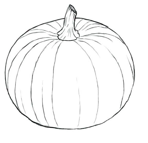 575x557 Pumpkin Drawing Vector Hand Drawn Pumpkins And Leaves Autumn