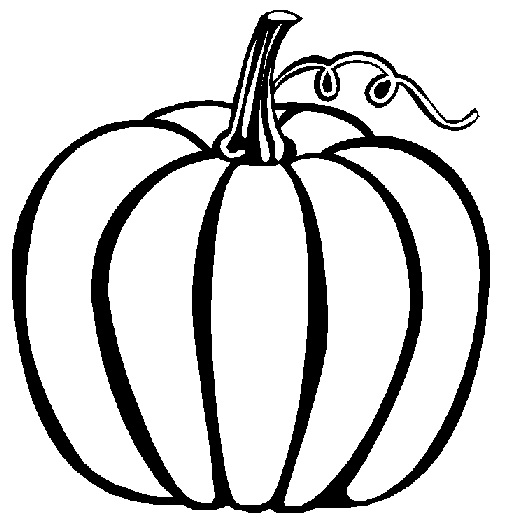 510x531 Pumpkin Vine Drawing Clipart Panda