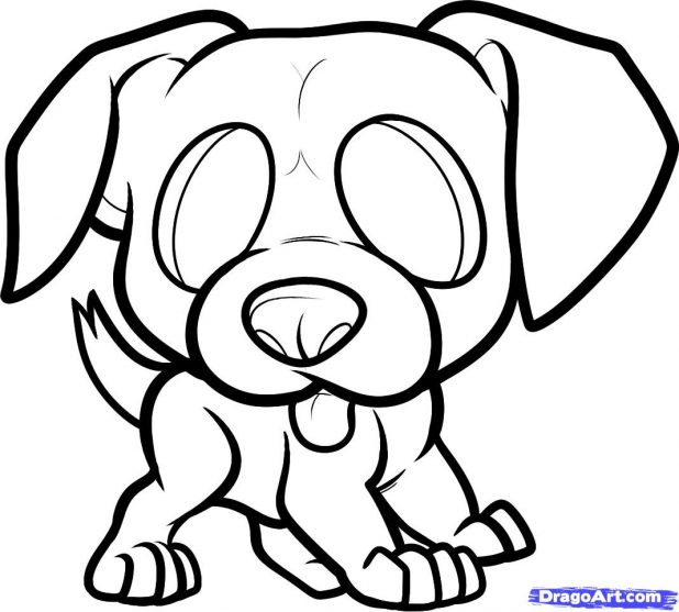 618x557 Adult Easy Puppy Drawing Easy Pet Drawings. Easy Realistic Puppy