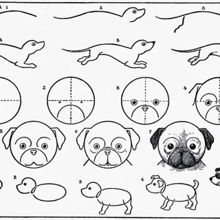 320x320 Tag For Easy Cute Puppy Pictures To Draw Design Drawing Cute