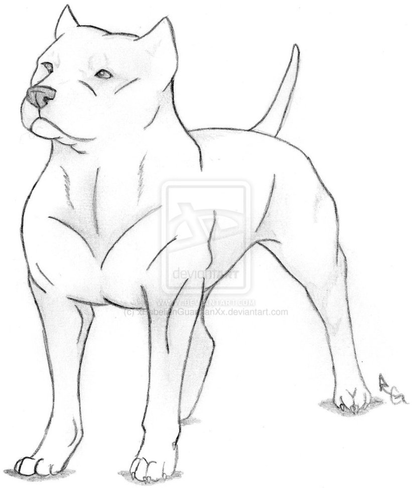 821x974 Draw Easy Puppy Images