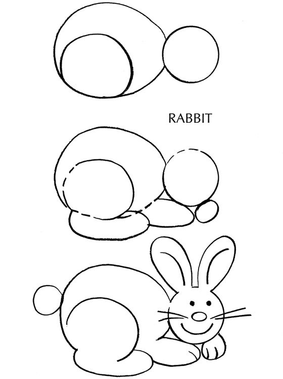 560x750 Bunny Rabbit Drawing Tutorial Draw Bunny Rabbit