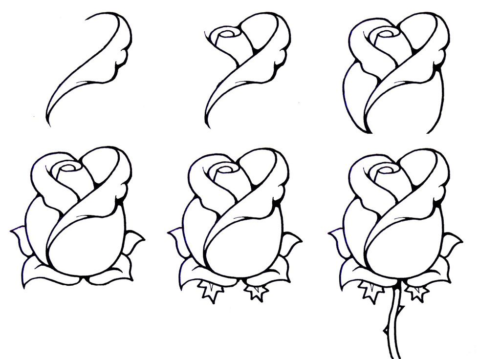 Easy Rose Drawing Step By Step