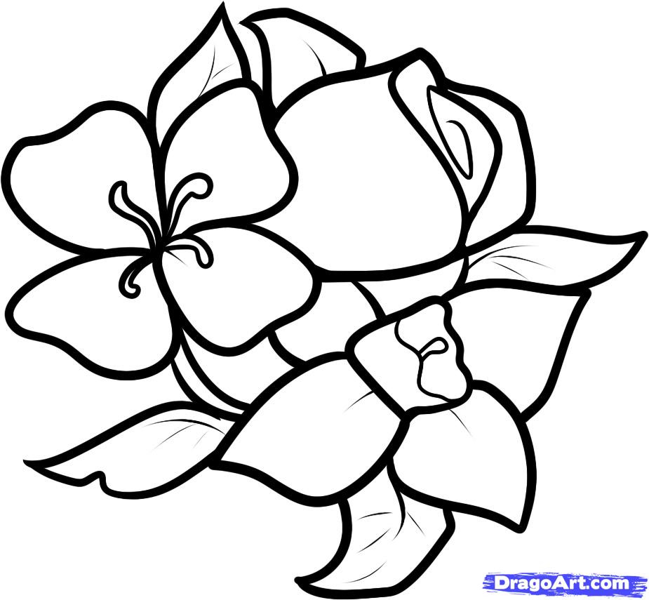 925x855 Easy Flowers Drawings Step By Step
