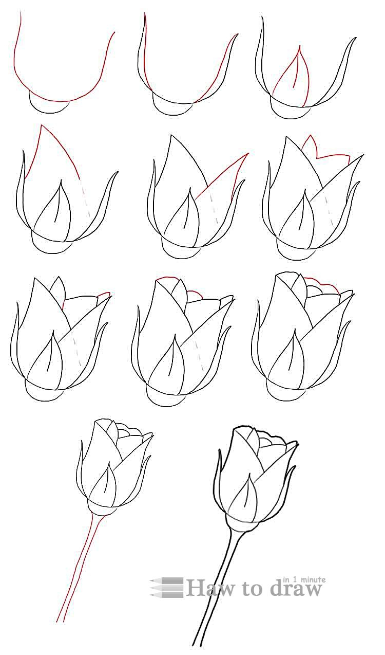 750x1274 Pencil Art Step By Step Easy Rose How To Draw A Rose With Pencil 4