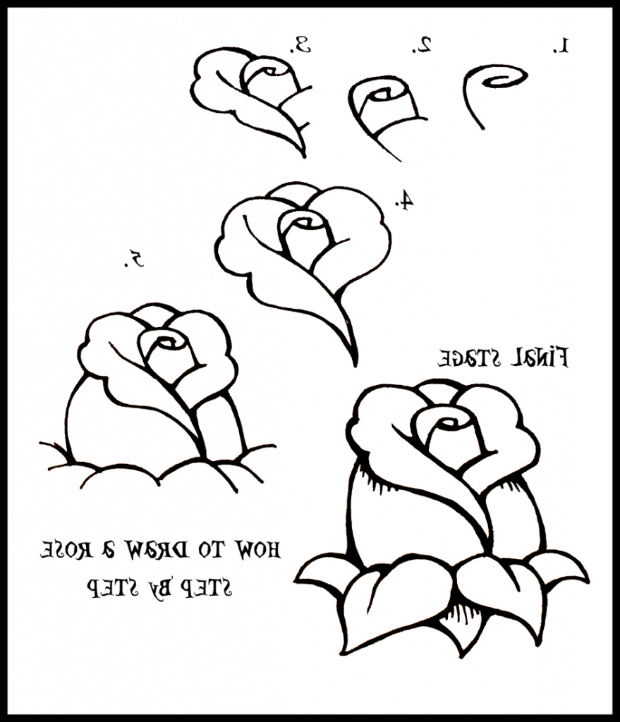 879x1024 Easy Rose Drawing Step By Step Drawing Rose Draw Rose Tutorial