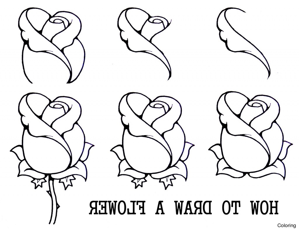 1024x788 Easy To Draw Roses Coloring Have Fun Drawing From These 50