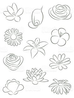 236x314 How To Draw Flowers Learn How To Draw A Rose With Simple Step By