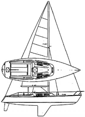 288x393 Santa Cruz 27