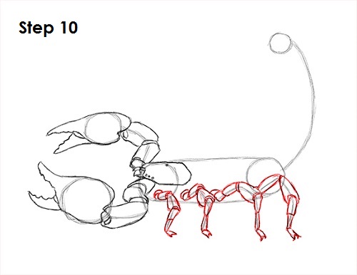 500x386 How To Draw A Scorpion