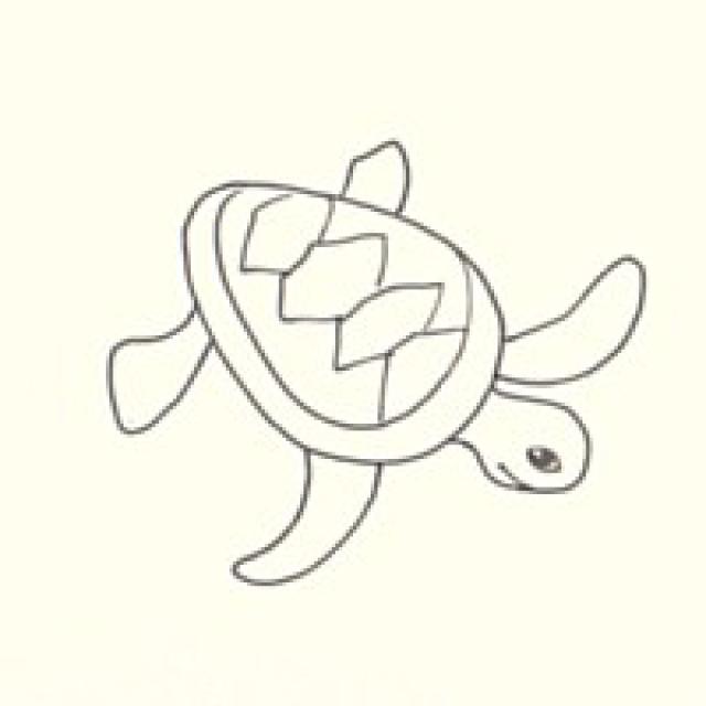 640x640 Draw A Sea Turtle In 3 Easy Steps Turtle, Easy And Bullet