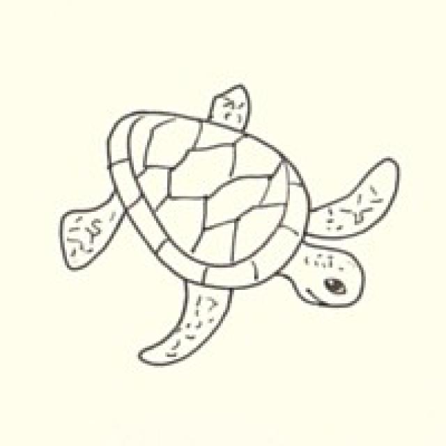 640x640 Draw A Sea Turtle In 3 Easy Steps Turtle, Painting Techniques