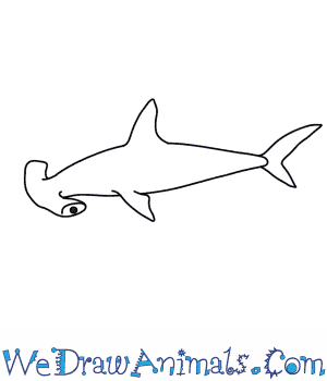 300x350 How To Draw A Hammerhead Shark