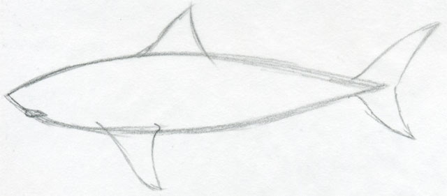 640x281 Draw Shark. Basic Tutorial.