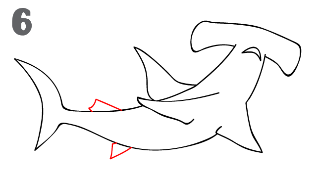 642x362 How To Draw A Hammerhead Shark