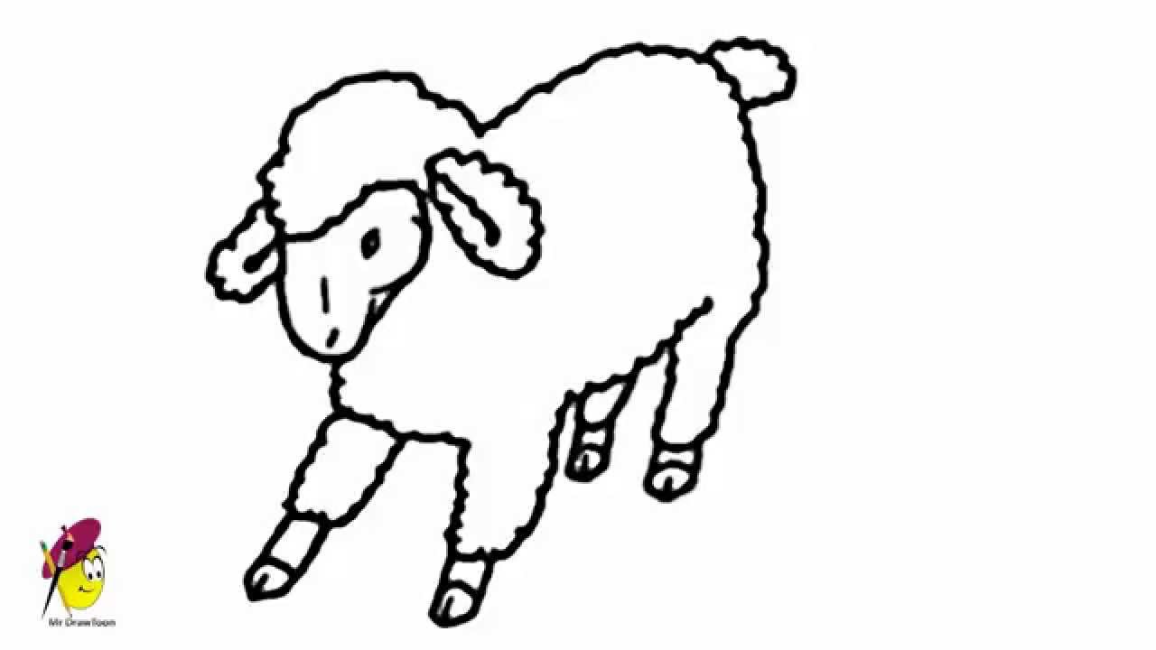1280x720 Farm Sheep