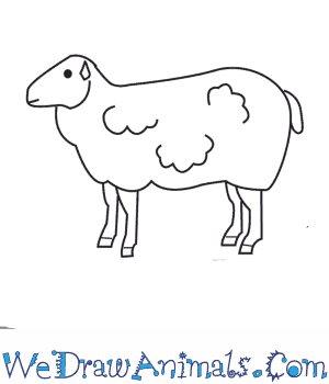 300x350 How To Draw A Sheep