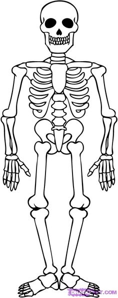 Easy Skeleton Drawing at GetDrawings | Free download