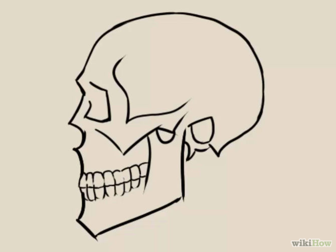 670x503 Draw A Skull Art Drawings, Draw And Sketches