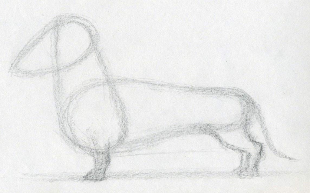 1024x637 Easy Sketch Drawings How To Draw Dog