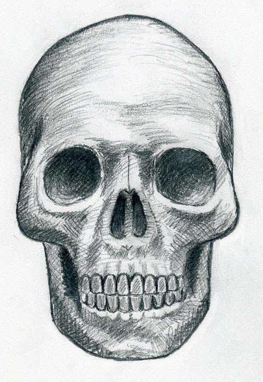 533x772 Draw Skulls Can Be This Easy