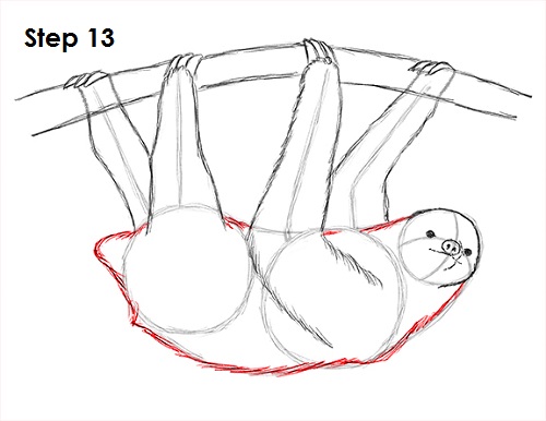 500x386 How To Draw A Sloth