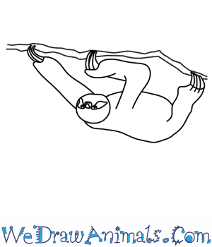 300x350 How To Draw A Sloth