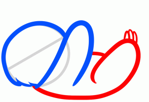 302x207 How To Draw How To Draw A Sloth For Kids