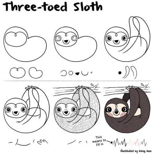 500x500 Gregham How To Draw A Sloth.