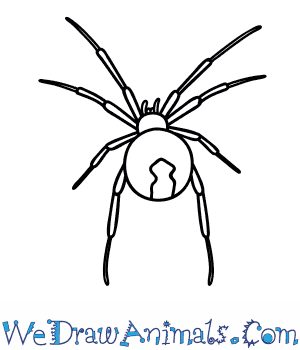 300x350 How To Draw A Black Widow Spider