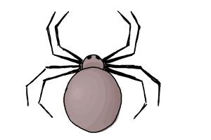 300x200 How To Draw A Simple Spider